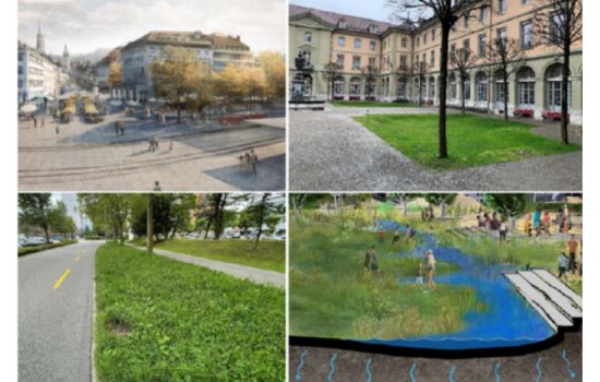 Schweizer Beispielsammlung guter Umgang mit Regenwasser 